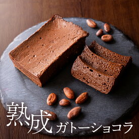 10日間寝かせた 熟成ガトーショコラ ガトーショコラ 65%マイルド 75%ノワール グルテンフリー スイーツ ギフト チョコレートケーキ チョコレート ケーキ 小麦粉不使用 送料無料 テリーヌ250g お取り寄せ 高級 洋菓子 人気 プレゼント 誕生日 バレンタイン ホワイトデー