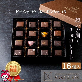 ボンボンショコラ ビナショコラ 16個入り チョコレート ギフト プレゼント 贈り物 記念日 詰め合わせ チョコ サンドグラス バレンタインデー ホワイトデー クリスマス 母の日 父の日 お歳暮 お中元 チョコレートセット