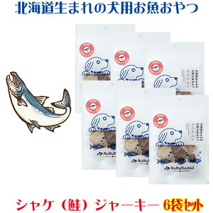 yJC p VPW[L[30g×6܁zkCYVP̌p TP  hbOt[h Y { Y SS wV[ 񂿂p    W[L[ ybgp 