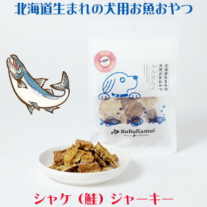 yJC@VPijW[L[30gzkCY̌p TP  hbOt[h Y { Y SS wV[ 񂿂p    W[L[ ybgp t[h g