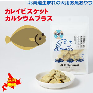 kC܂̌p̂yJCrXPbg JVEvX50gzwV[ h{⏕  hbOt[h ybgt[h g[c t[h  a  ꂢ Y F 