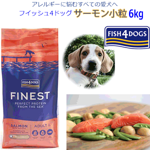 �yfish4dogs �t�C�b�V��4�h�b�O �T�[�������� 6kg�zFINEST �t�@�C�l�X�g�V���[�Y �T�[���������ޗ��ɐ����`�V�j�A���܂ŃI�[���X�e�[�W�ł��g�p�\�ȃR���v���[�g�h�b�O�t�[�h ���� ���� ���Y