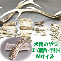 楽天市場】エゾシカ つのの通販