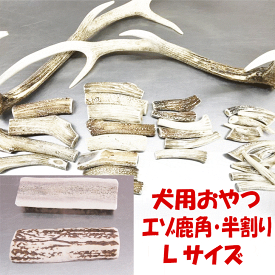 楽天市場 鹿角 適正犬種チワワ の通販