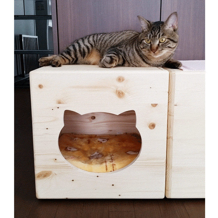 天井床取外し可 ねこ用 猫用 猫小屋 ねこ 木製 ハンドメイド ベッド