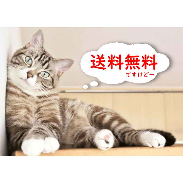 楽天市場】【ねこハウス 入口猫顔 天井床取外し式】 北海道産の
