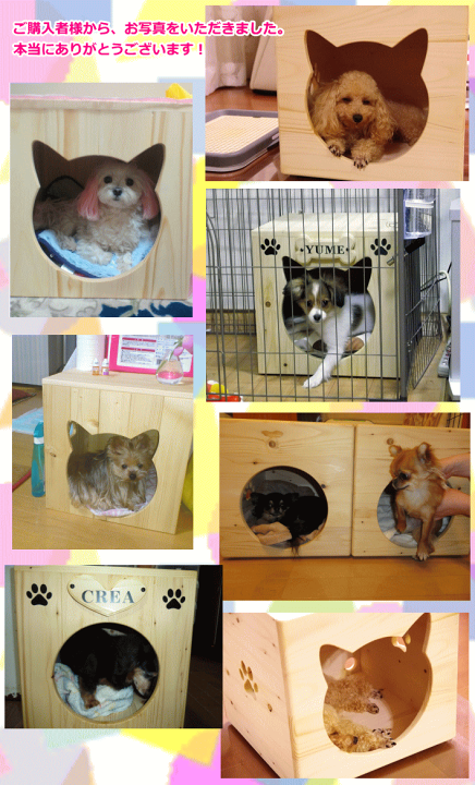 楽天市場】ドッグハウス【おやすみハウスS入口丸型】犬 ケンネル