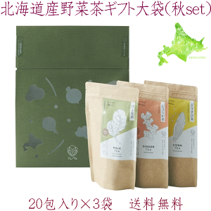 yhu-ka ӂ kCYؒ Mtgp20×3 Hsetz܂ Ƃђ 傤 e20 ؒ N e Y {  eB[obO ₳ N Y Ysgp 