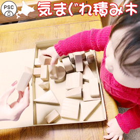 積み木 積木 つみき 日本製 木製 手作り積み木 知育玩具 木のおもちゃ おうち時間 PSC 子供 ベビー 3歳 誕生日 プレゼント 国産 赤ちゃん ブロック 贈り物 ギフト 安い お試し ツミキ 出産祝い 初めてのつみき キッズ 無垢材 男の子 女の子 幼児 贈答品 木製品 高齢者施設