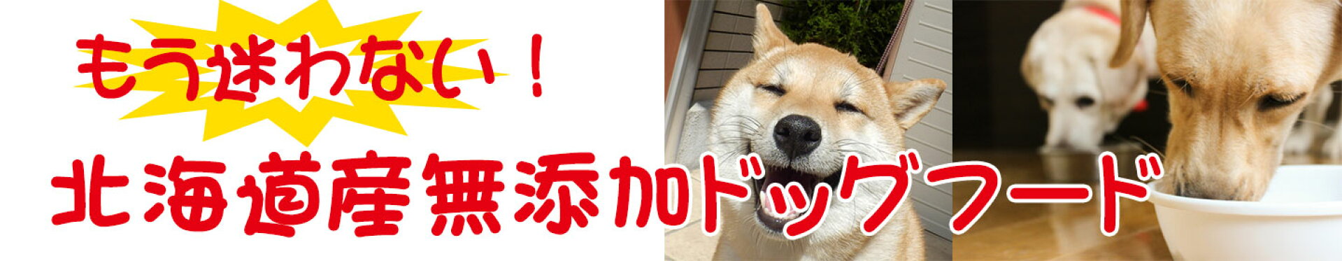 ドッグフード