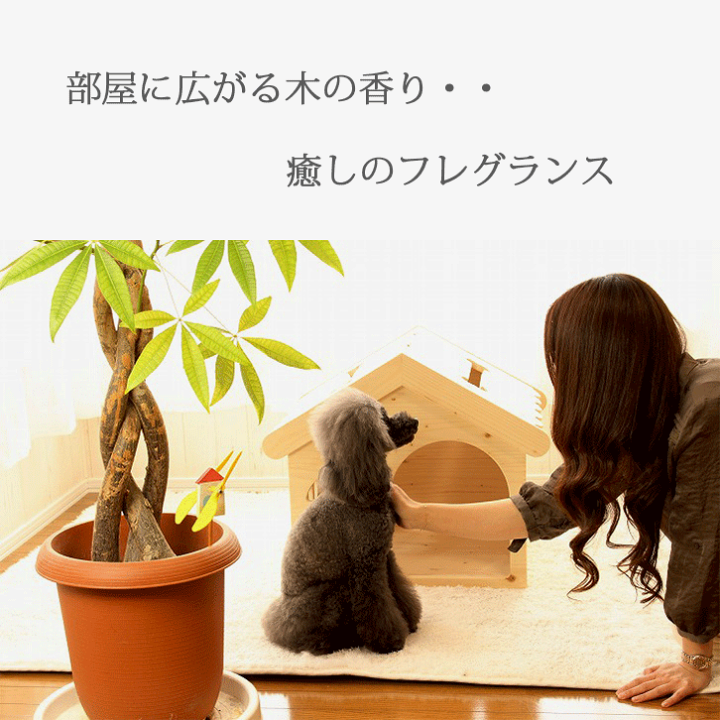 楽天市場】犬 ハウス ベッド 犬小屋 ドッグハウス 木製