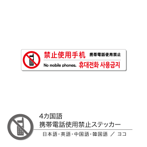 4 gѓdbgp֎~XebJ[ R 1