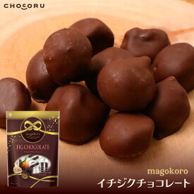 【クール便配送】magokoro イチジクチョコレート チョコレート ビターチョコ チョコ イチジク いちじく フルーツチョコ 個包装 プチギフト ギフト 父の日