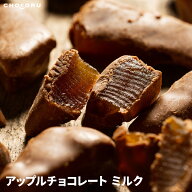 アップルチョコレート ミルク 450g 300g 180g 訳あり チョコレート りんごチョコ 蜜漬けりんご ハイミル…