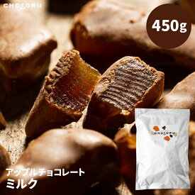 【メール便配送】アップルチョコレート ミルク 450g 訳あり チョコレート りんごチョコ 蜜漬けりんご ハイミルクチョコレート