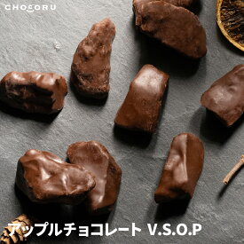 アップルチョコレート V.S.O.P 165g 訳あり チョコレート りんごチョコ 蜜漬けりんご ビターチョコ お酒 個包装