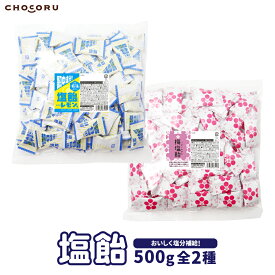 塩飴 500g レモン 梅 業務用 大容量 個包装 塩分補給 熱中症対策