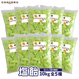 【常温便配送】熱中症・夏バテ対策！まとめ買い　塩飴10kg 全5種（約2300粒） 【 塩飴 熱中症対策 塩分補給 レモン スポーツ エナジー サイダー 業務用 塩飴 キャンディ 大容量 個包装 送料無料