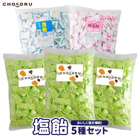 熱中症・夏バテ対策！まとめ買い 塩飴5種セット（約1150粒） 【 塩飴熱中症対策 塩分補給 レモン 梅 サイダー 塩あめ キャンディ 熱中飴 大袋 大容量 業務用 個包装 送料無料 】 沖縄 おすすめ