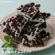 ＼スーパーSALE限定！10%OFF／【クール便】割れチョコ クールなチョコミント 180g 400g チョコレート