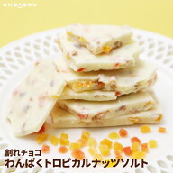 【クール便】割れチョコ わんぱくトロピカルナッツソルト 180g 400g チョコレート