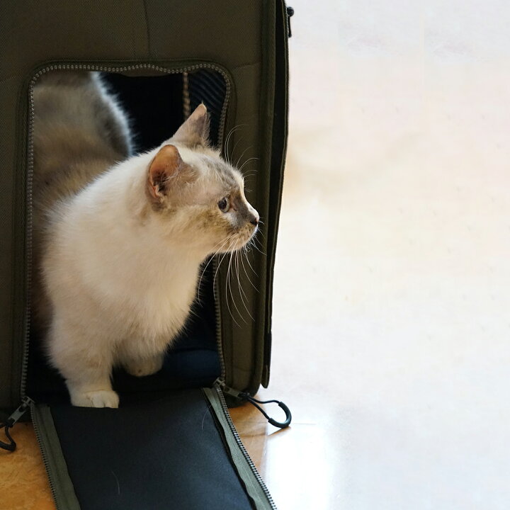 楽天市場 猫 リュック リュックキャリー 犬 キャリーバッグ ペットキャリーバッグ ペットリュック おしゃれ キャリーケース 防災 災害 避難mandarine Brothers Brixton Carry Backpack マンダリンブラザーズ