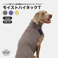 マンダリンブラザーズ 犬服 ハイネック もちもち素材 肩デザイン シリコーンロゴプリント 秋冬 ストレッ…