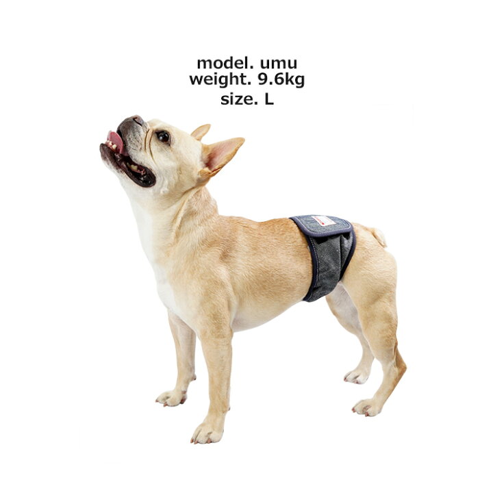 楽天市場 犬 小型犬 犬用 中型犬 男の子 マナーウェア トイレ用品 マナーバンド ドッグウエア マーキング防止 介護用品 シンプル おしゃれ Mandarine Brothers Manner Belt マンダリンブラザーズ