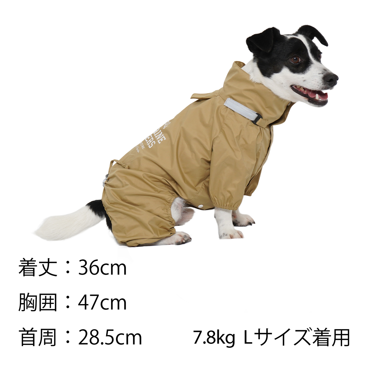 楽天市場】犬 レインコート 犬用 雨具 犬の服 おしゃれ 犬服 雨 防水