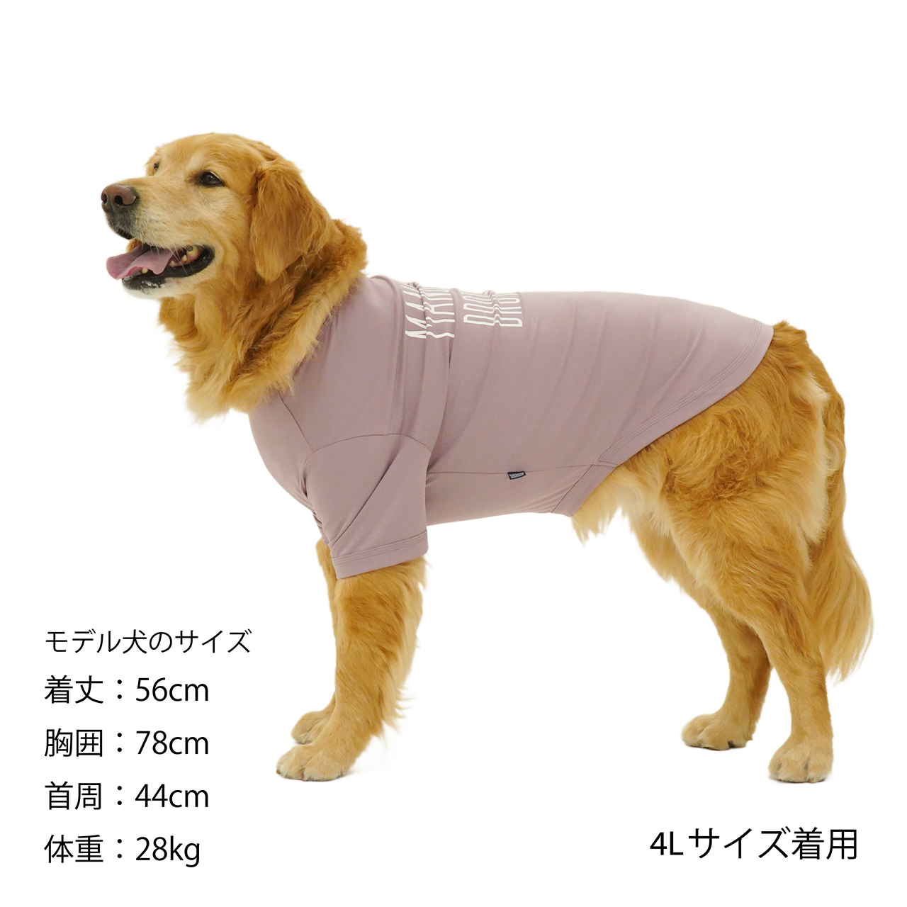 犬の服 犬 クール 防蚊 ドッグウェア ひんやり クールシャツ 服 春 夏 秋 大きいサイズ 中型犬 大型犬 MANDARINE  BROTHERS/BASIC COOL T-SHIRT（3L,4L,5L） | マンダリンブラザーズ