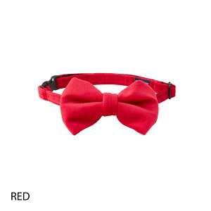  lN^C   p lN^C ANZT[ xAn xxbg n   v[g L MANDARINE BROTHERS / BOW TIE