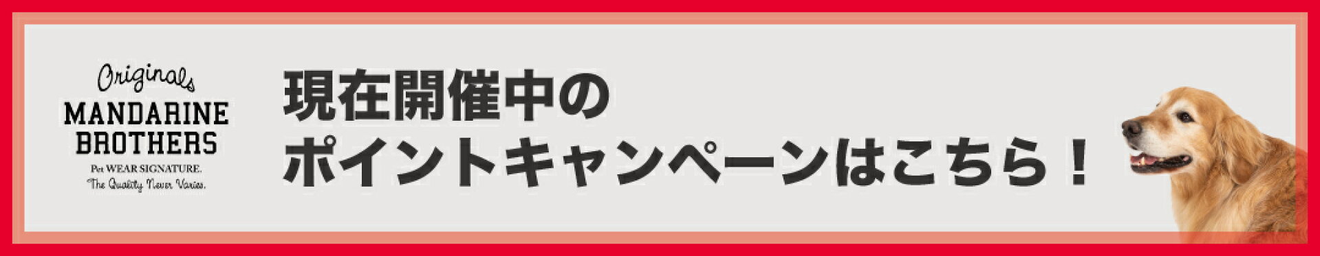 ただ今開催中のポイントアップキャンペーン