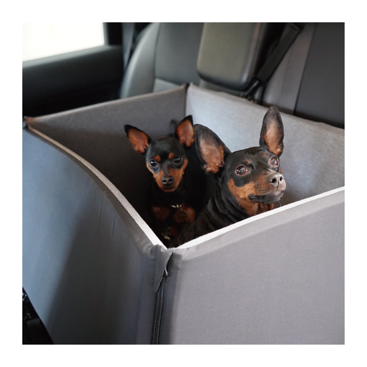 楽天市場】犬 ドライブ ドライブベッド 中型犬 多頭 ドライブボックス
