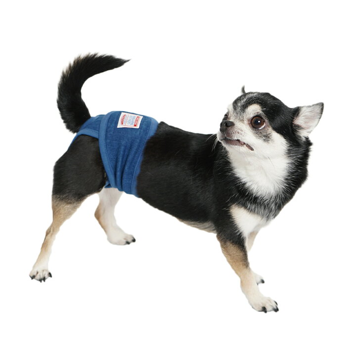 楽天市場 犬 マナーパンツ メス 雌 女の子 おむつ 生理 予防 中型犬 マナーウェア Mandarine Brothers Manner Pants Xl Xxl マンダリンブラザーズ