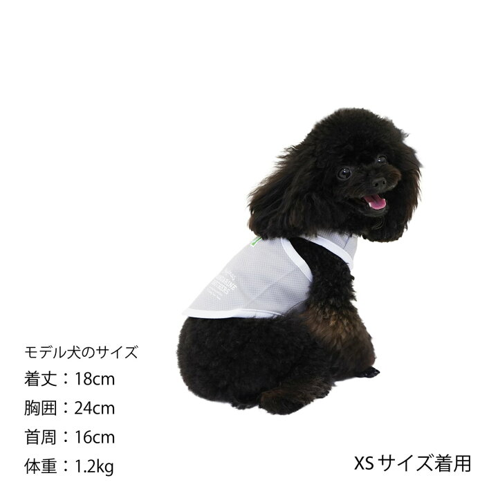 21180円 超可爱の ZSHYP 犬の服の耳の漫画の春と夏の薄いセクション吊り下げ機の頭のペットの供給ベスト Color : B Size Lcode