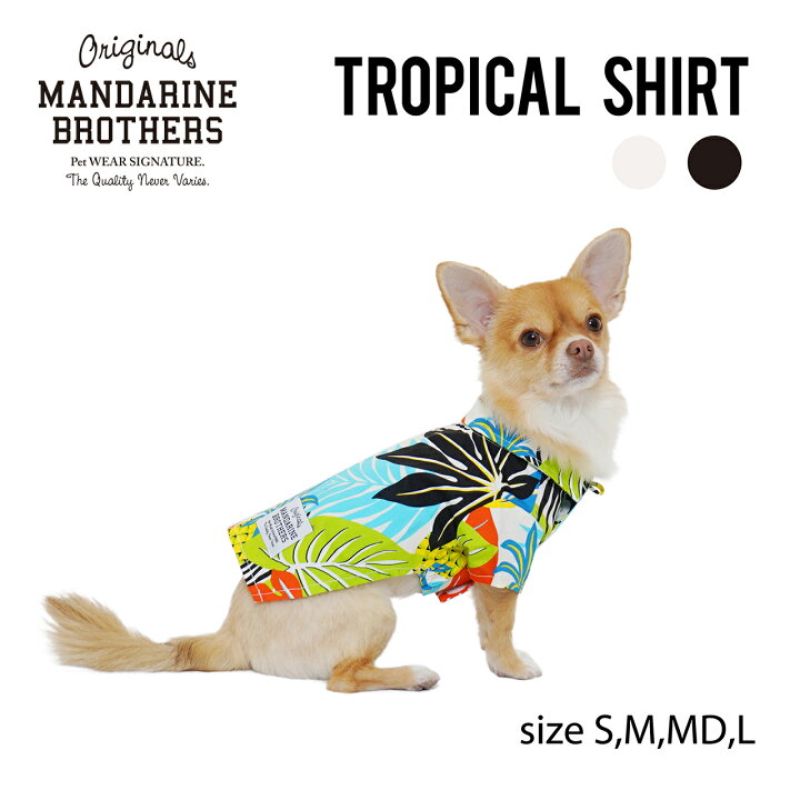 楽天市場 犬の服 犬 アロハシャツ ドッグウェア 服 春 夏 チワワ ダックス トイプードル Mandarine Brothers Tropical Shirt Xs S M Md L マンダリンブラザーズ 楽天市場 犬の服 犬 アロハシャツ ドッグウェア 服 春 夏 チワワ ダックス トイプードル Mandarine Brothers Tropical Shirt Xs S M Md L マンダリンブラザーズ