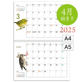 【4月始まり】2025年 壁掛けカレンダー A5 A4 野鳥が彩る12ヶ月 野ノ鳥 -nonotori- 4月始まり 日曜日始まり デザイン イラスト かわいい 野鳥 オリジナル 鳥好き 2025年カレンダー