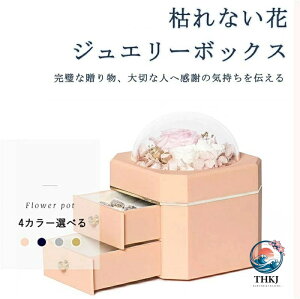��̓������v���U�[�u�h�t�����[�W���G���[�{�b�N�X �͂�Ȃ��� �L�O�����蕨�C���e���A�G��