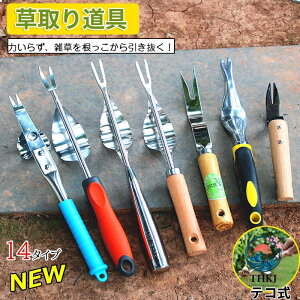 �y10%OFF�N�[�|���z����� ���� �e�R �������� �����背�[�L ������ �֗� �O�b�Y ������ ���� �Ő� �� �G������ ���� �G������� �Ў�L �؉��L �X�e�����X�� ����L ���|�p ���[�L �R���p