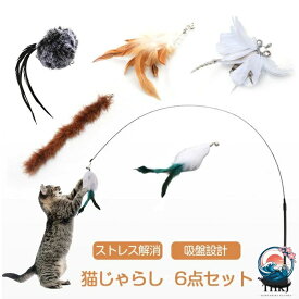 猫じゃらし 吸盤 固定 猫おもちゃ 釣り竿 6 点セット 鈴付き 猫 猫用おもちゃ 羽根 ねこじゃら ネコ 猫用釣竿 交換用 羽根