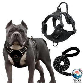 【全品2点で5%OFF】中型犬用ハーネス 引っ張り防止 抜けにくい 反射材付き メッシュ 夏快適 軽量 簡単装着 リードセット 散歩用 安心 しっかりフィット 暑さ対策 夜道対応 犬具 おでかけ 使い