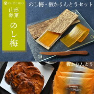 のし梅・板かりんとうセット 和菓子 お菓子 お土産 スイーツ プレゼント 山形 iかりんとう 硬い 梅 うめ …