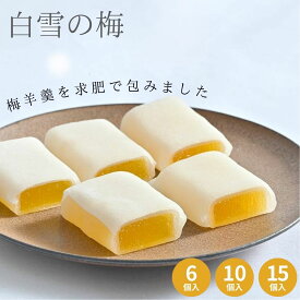 白雪の梅 和菓子 敬老の日 スイーツ お菓子 プレゼント お土産 グルメ 山形 梅 うめ ようかん 羊羹 おやつ 餅 高級 ギフト 銘菓 老舗 お茶菓子 お茶請け 求肥 贈り物 贈答 秋 ギフト お取り寄せ 手土産 常温 個包装