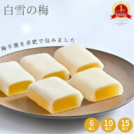 白雪の梅 和菓子 スイーツ お菓子 プレゼント お土産 グルメ 山形 梅 うめ ようかん 羊羹 おやつ 餅 高級…