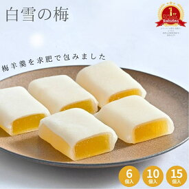 白雪の梅 和菓子 スイーツ お菓子 プレゼント お土産 グルメ 山形 梅 うめ ようかん 羊羹 おやつ 餅 高級 ギフト 銘菓 老舗 お茶菓子 お茶請け 求肥 贈り物 贈答 秋 ギフト お取り寄せ 手土産 常温 個包装