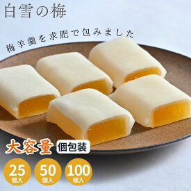 白雪の梅 徳用 大容量 和菓子 御年賀 御年始 御挨拶 職場 手土産 スイーツ お菓子 プレゼント お土産 グルメ 山形 梅 うめ ようかん 羊羹 おやつ 餅 高級 ギフト 銘菓 老舗 お茶菓子 お茶請け 求肥 贈り物 贈答 秋 ギフト お取り寄せ 手土産 常温 個包装