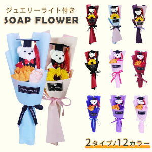 \[vt[ ʂ ԑ ܑ t[    Mtg v[g u[P LEDCgt ё Ђ܂ o j 蕨   ͂Ȃ  N} xAu[P 