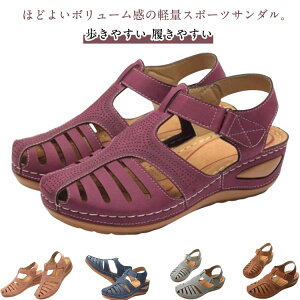 C T_ fB[X T_  ₷ T}[T_ X|[cT_ fB[X T_  EFbW\[T_ Xj[J[T_ [q[ bvT_ C t