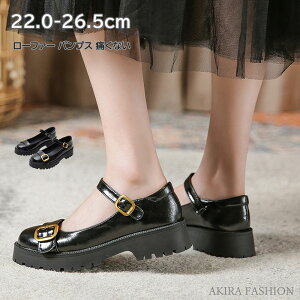 V[Y [t@[ pvX ɂȂ 4.5CM Xgbv EhgD ubN K[[  ₷ ₷  r H~   ʋ  d 傫