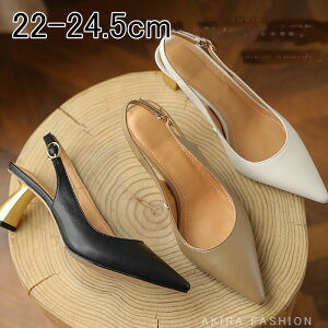 T_ pvX fB[X `L[q[ |CebhgD 5.5cm q[  傫TCY Cg`[gq[T_ ItBX 킢 ₷ Xgbv 